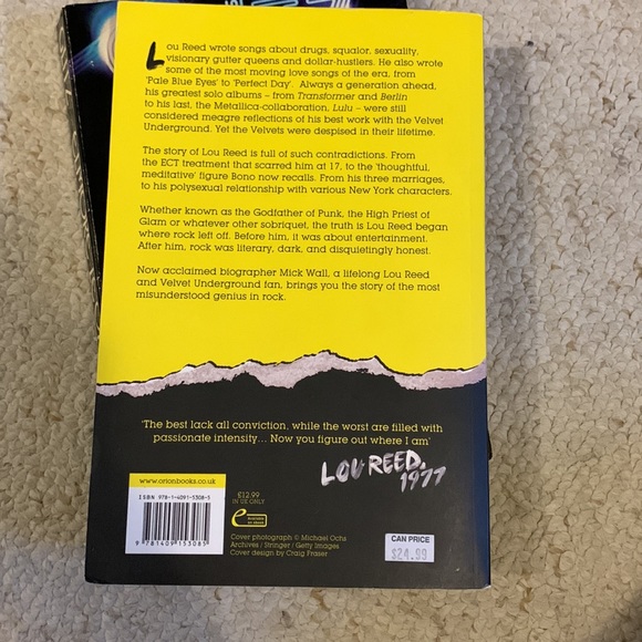 Lou reed biography - Picture 2 of 2